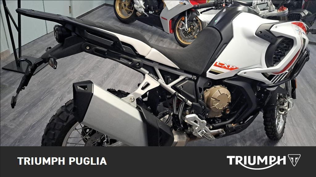 MV AGUSTA LXP 931 Orioli Abs